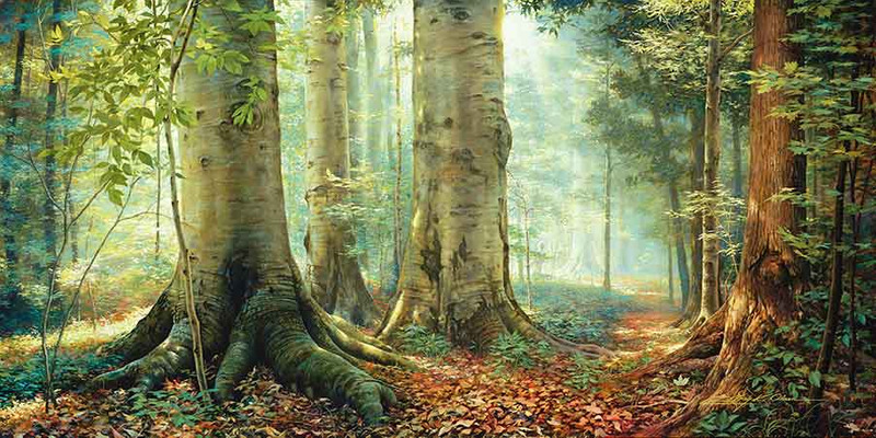 The Sacred Grove image